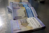 نمره «خیلی خوب» معاون وزیر اقتصاد به NPL بانک ملی ایران