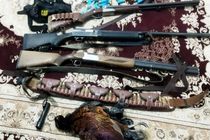 کشف و ضبط 29 قبضه سلاح شکاری در مازندران