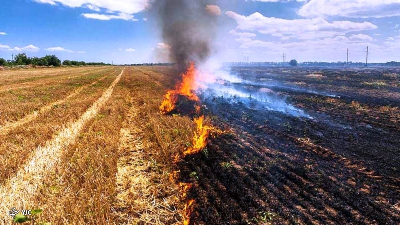 کشاورزان از آتش زدن بقایای محصولات کشاورزی خودداری کنند