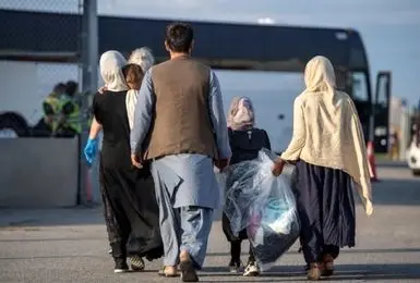 ۵۶ شرکت مشکوک به فعالیت صوری با مالکیت ۱۰۰ درصدی اتباع خارجی شناسایی شد