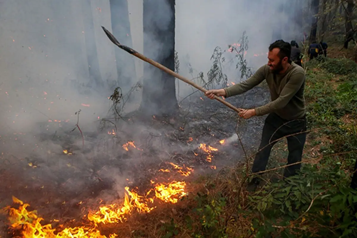 رئیس دادگستری مازندران