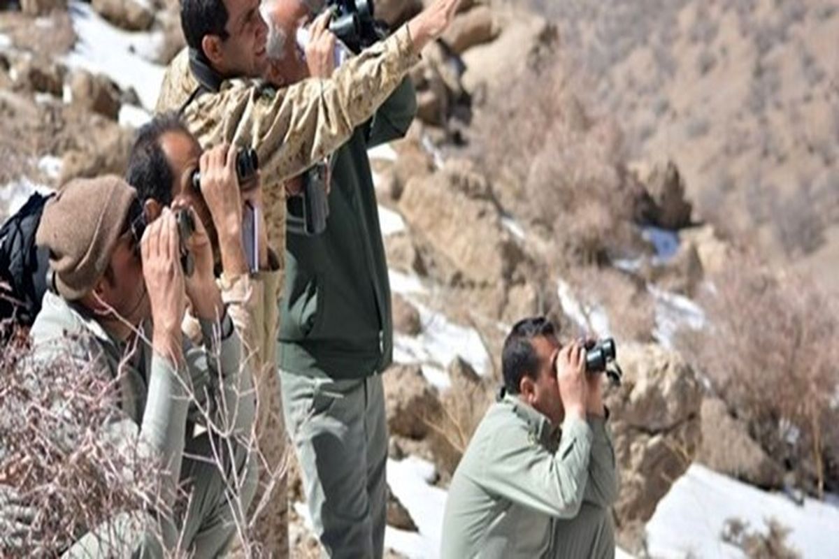 هزار و ۲۳۸ شکارچی متخلف در یکسال گذشته بازداشت شده اند