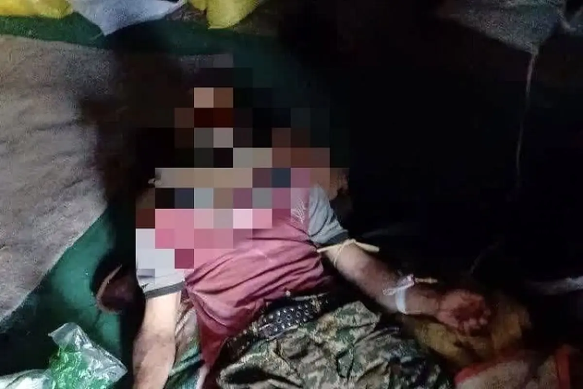 حمله یک قلاده خرس به چوپان کجوری
