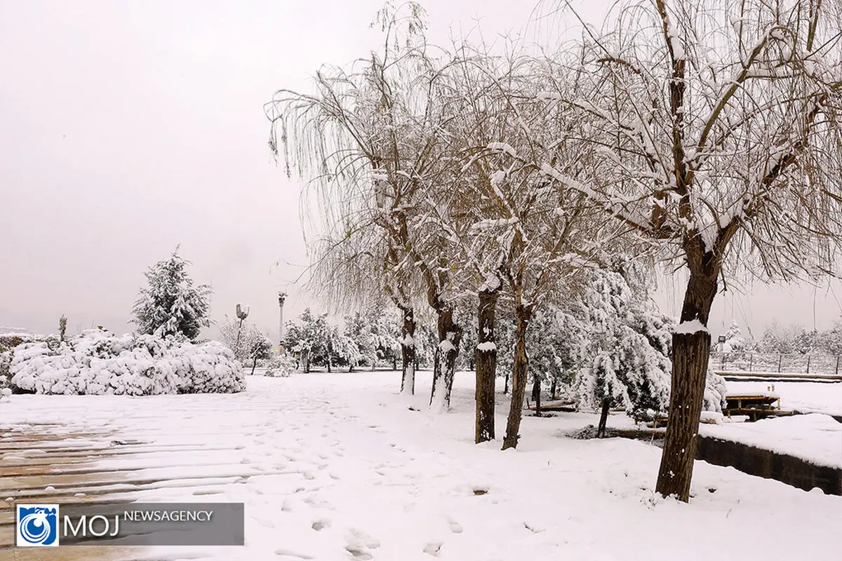 بارش برف و باران در نیمه غربی کشور امروز و فردا ادامه دارد