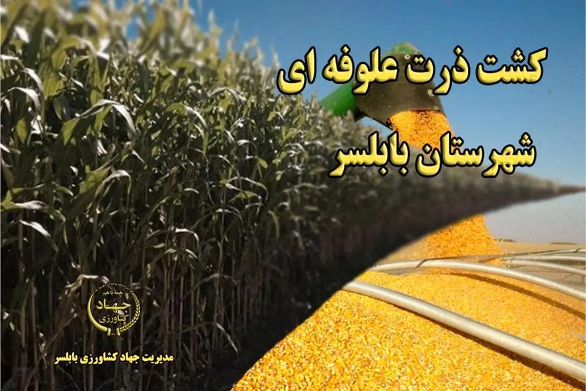 کشت ۲۷ هکتار ذرت علوفهای در بخش بهنمیر