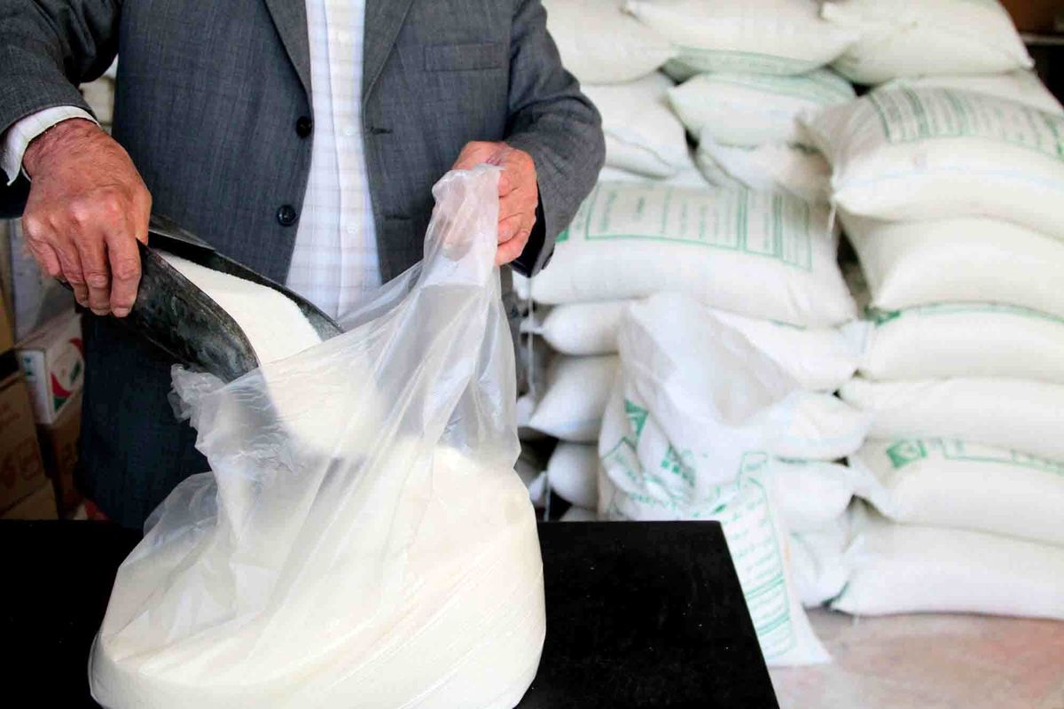 یک هزار و ۳۶۱ تن شکر در استان قزوین توزیع شد