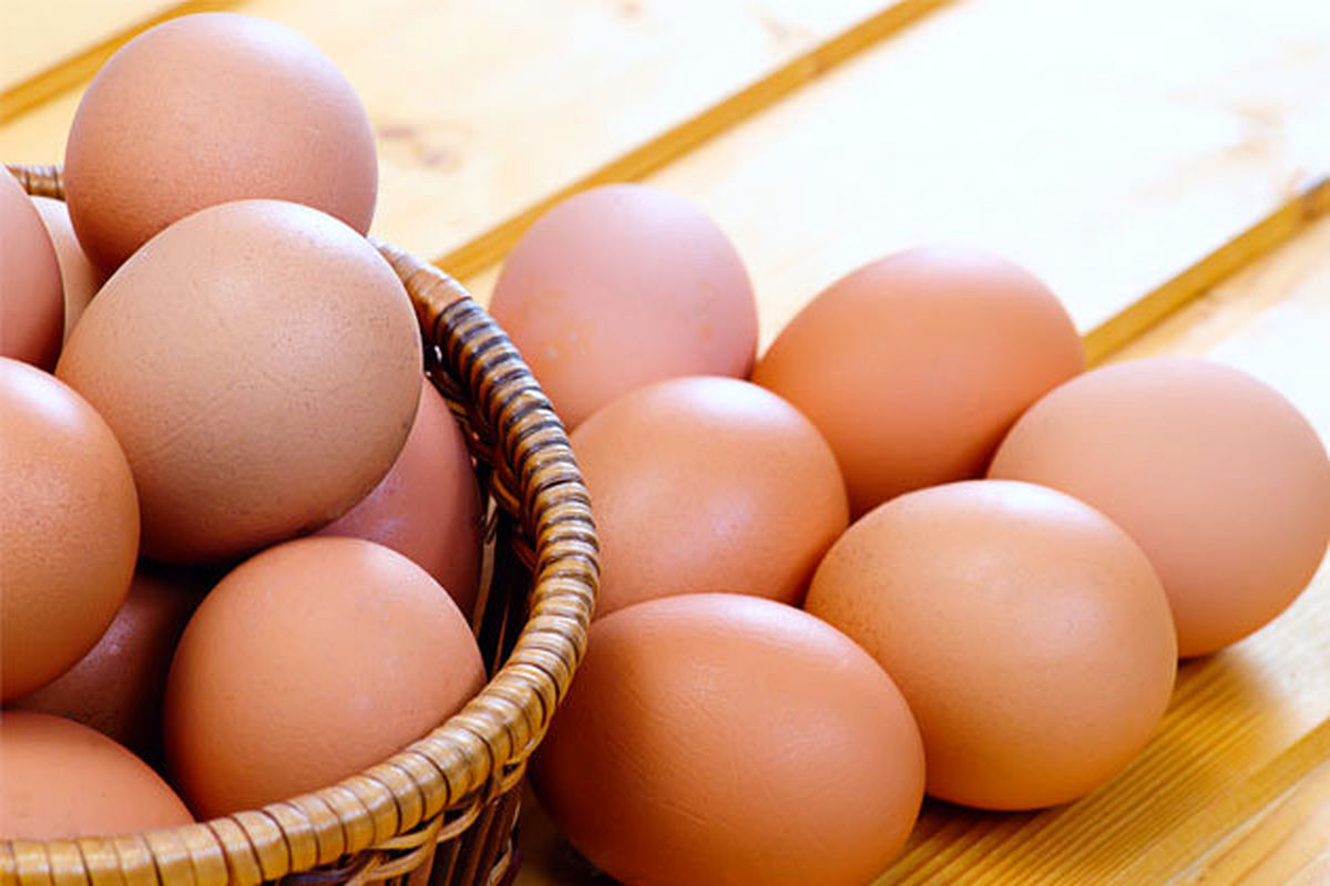 تخم مرغ ۵.۵ درصد کاهش قیمت یافت