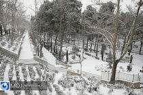 برف با کاهش ۱۲ درجه‌‌ای دما مهمان تهران می‌شود