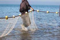 کشف 700 متر تور ماهی گیری از صیادان غیر مجاز در پارس آباد