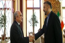 دیدار و رایزنی سفیر روسیه در تهران با امیرعبداللهیان 