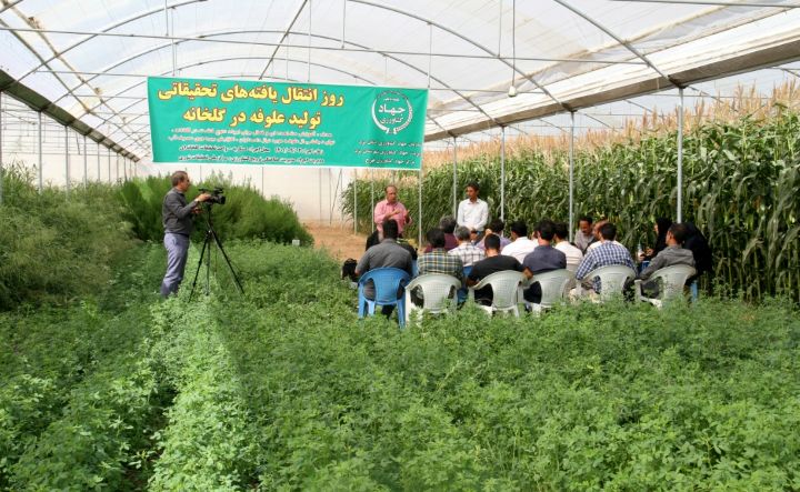انتقال یافته های تحقیقاتی تولید علوفه گلخانه ای با حضور گلخانه داران و کشاورزان پیشرو استان یزد 