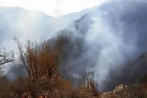 الیت مازندران دیگر الیت نیست؛ باران آخرین امید جنگلبانان