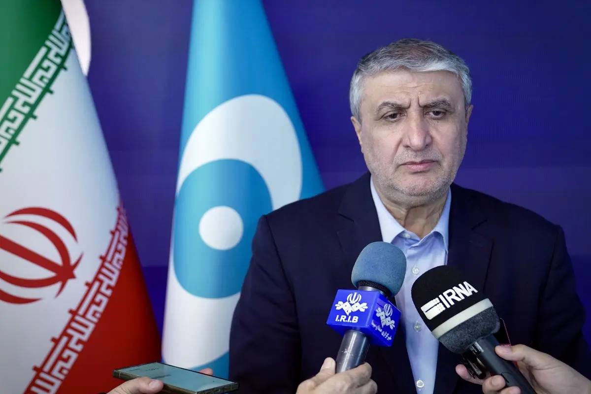 رئیس سازمان انرژی اتمی ایران