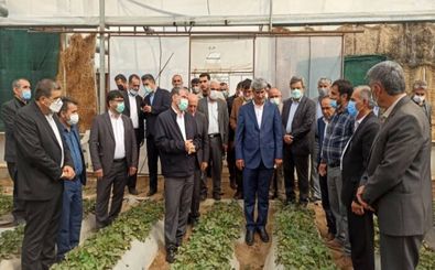 وزیر جهادکشاورزی از مجتمع گلخانه‌ای اشکفت زرد باغملک بازدید کرد