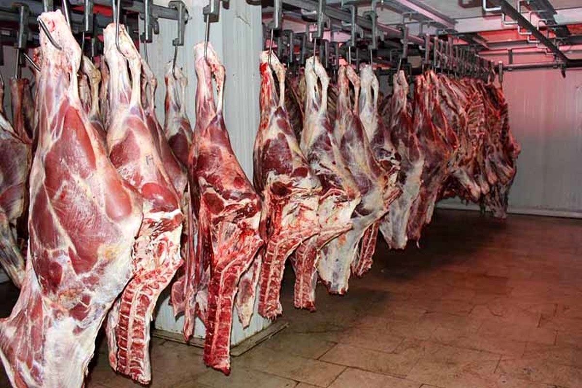 واردات گوشت قرمز با نظارت انجمن واردکنندگان فرآورده‌های خام دامی کشور صورت می‌گیرد