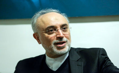 صالحی: اقدامات برای نظارت و امنیت عمومی نیروگاه بوشهر و تاسیسات هسته‌ای ایران انجام شده است