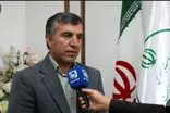 حفاظت از گونه‌های در خطر انقراض؛ گوزن زرد ایرانی زیر نظارت دقیق محیط زیست ایلام