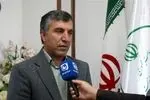 حفاظت از گونه‌های در خطر انقراض؛ گوزن زرد ایرانی زیر نظارت دقیق محیط زیست ایلام