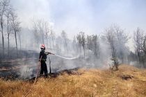 کاهش 95 درصدی آتش سوزی پارک های جنگلی سنندج در سال گذشته 