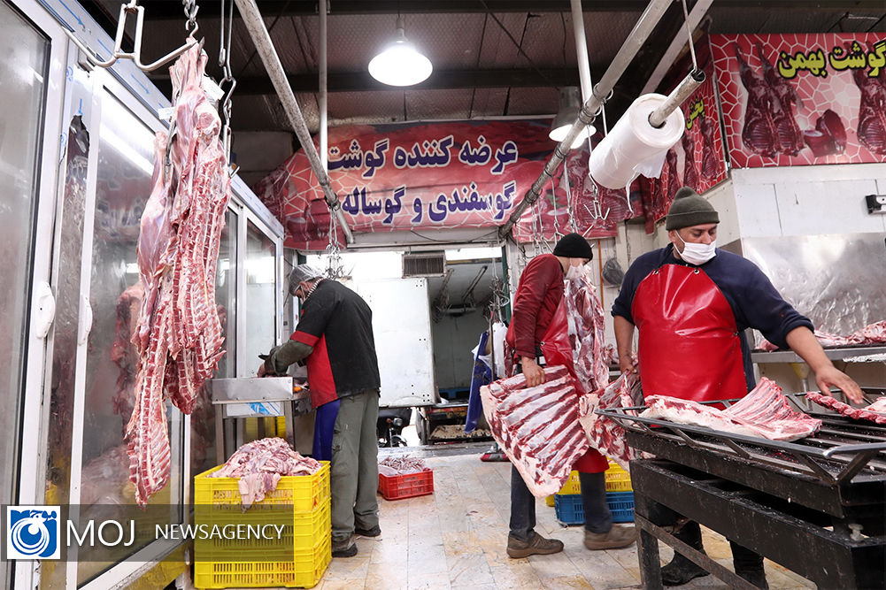 عرضه مستقیم گوشت قرمز در خوزستان آغاز شد