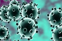 آخرین آمار مبتلایان به ویروس کرونا در جهان/ تاکنون بیش از 53 هزار نفر جان خود را از دست داده‌اند
