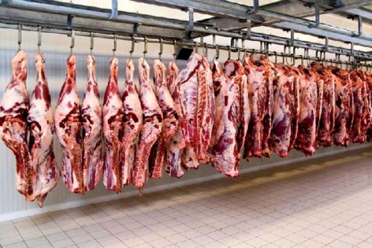 توزیع 7 تن گوشت گرم در گیلان