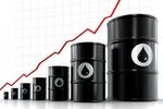 قیمت نفت ۱۴ سنت افزایش یافت