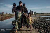 بیش از 90 درصد آوارگان روهینگیایی دچار سوء تغذیه هستند