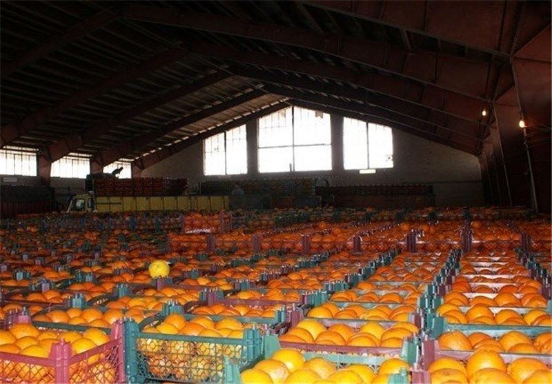 ذخیره سازی میوه در ایام نوروز بر عهده وزارت صنعت 