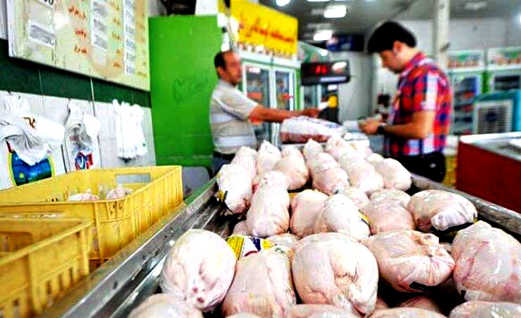 چالش های وزیر  جدید جهاد برای ساماندهی بازار مرغ