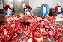 مشکل قیمت گوشت با واردات از پاکستان حل می‌شود