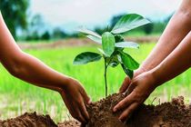 طرح مردمی کاشت یک میلیارد درخت در حمایت از امنیت زیستی و غذایی کشور