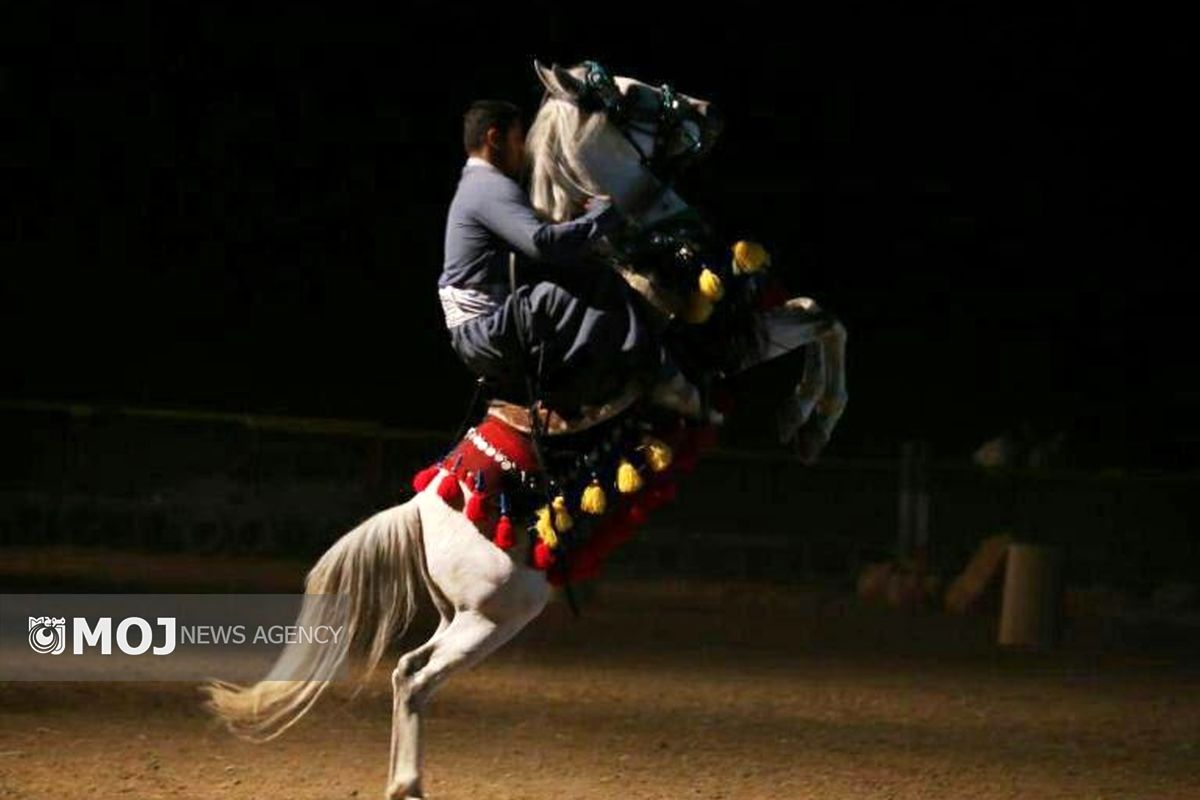 دومین دوره جشنواره ملی اسب کُرد در سنندج برگزار می شود