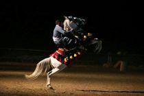 دومین دوره جشنواره ملی اسب کُرد در سنندج برگزار می شود