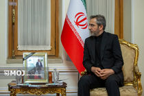 سرپرست وزارت امور خارجه ایران در نشست فوق‌العاده دی ۸  شرکت می‌کند