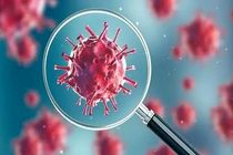 101 ابتلای جدید به ویروس کرونا در منطقه کاشان / بستری شدن نوزاد 2 ماهه 