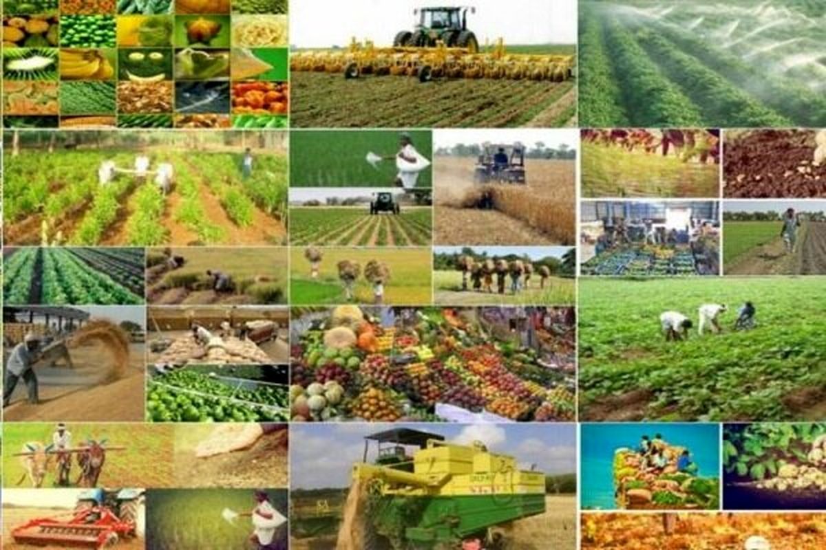 رشد 33 درصدی طرح های کشاورزی و دامپروری در استان اصفهان