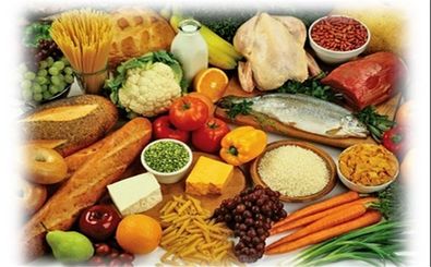 استارتاپ توزیع مواد غذایی، پروتئینی، میوه و سبزی راه‌اندازی شد
