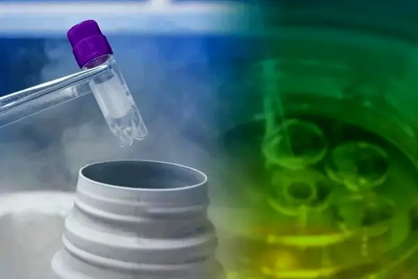 فریز تخمک، راهی علمی برای حفظ باروری زنان در سنین بالاتر