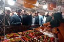 نمایشگاه صنایع دستی با مشارکت 20 استان کشور در نوشهر افتتاح شد