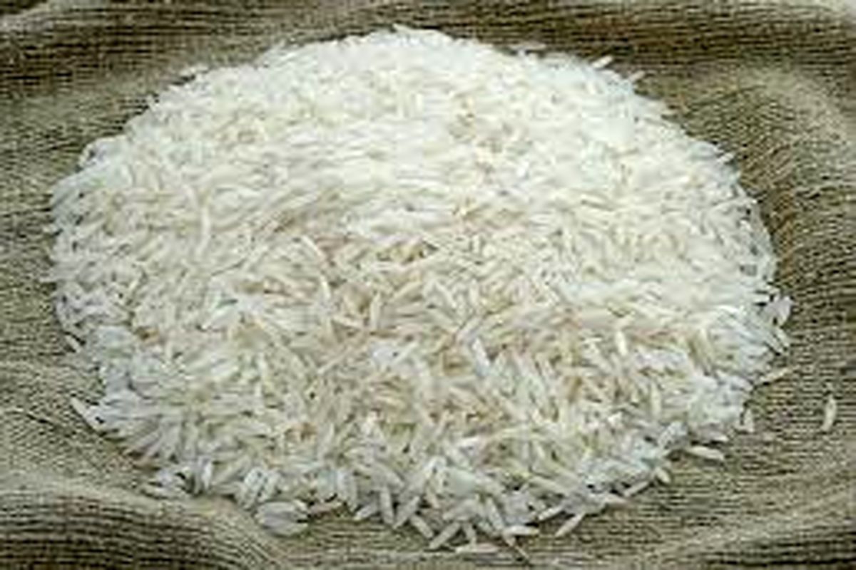 برنج تراریخته گواهی سلامت گرفت