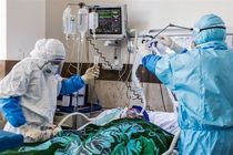 22 بیمار جدید کرونایی در مراکز درمانی اردبیل بستری شده اند 