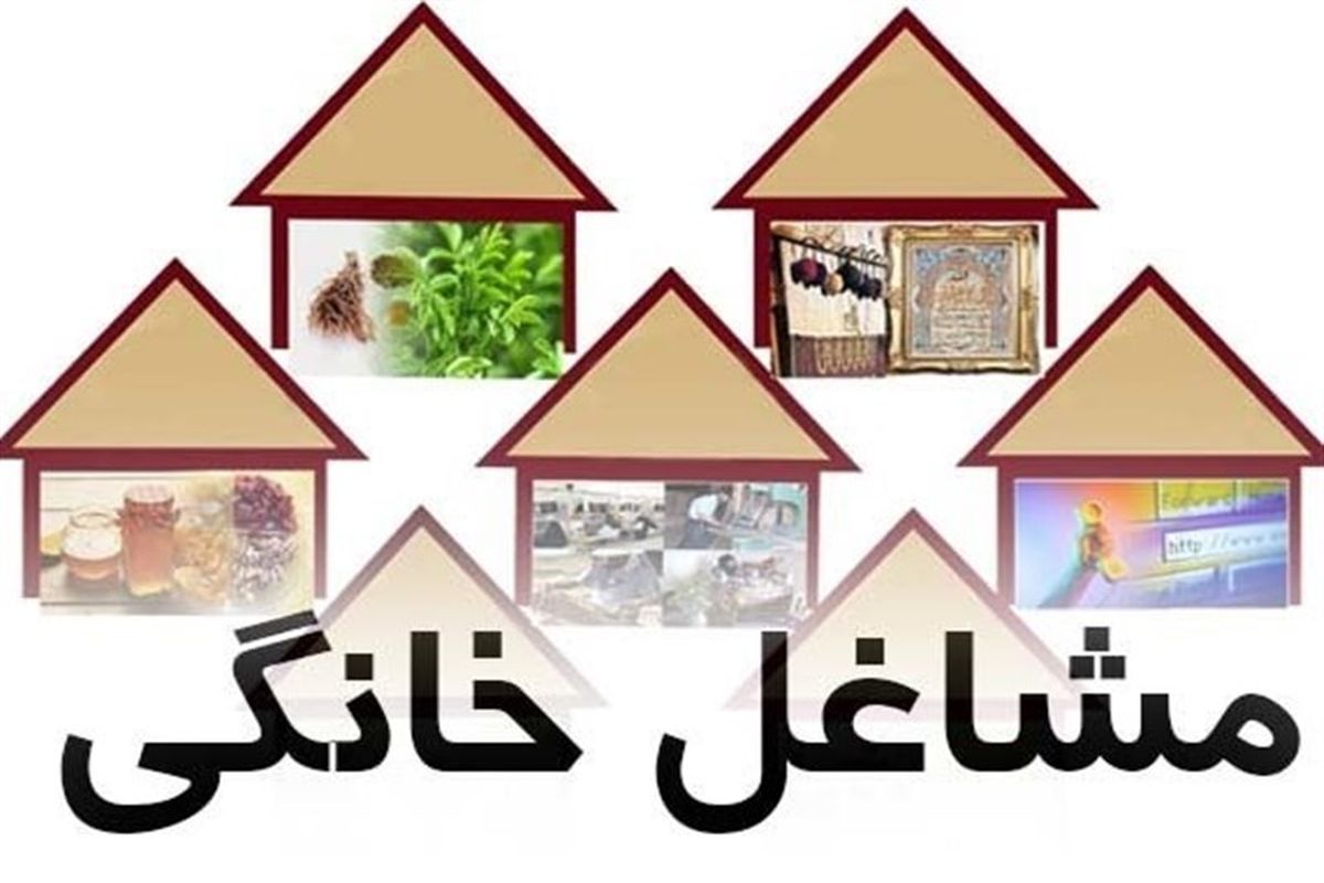 ثبت ۷۰ هزار فقره مجوز کسب و کار خانگی در هفت ماهه سال جاری