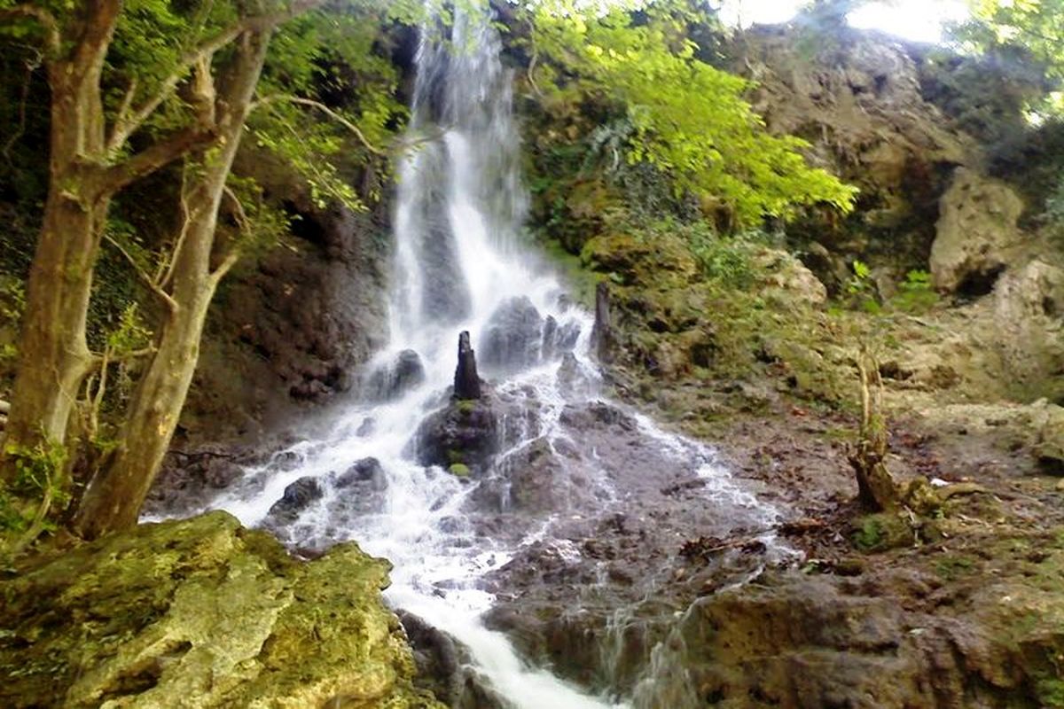 سالانه بیش از ۱۲ میلیون گردشگر از چناران بازدید می کنند