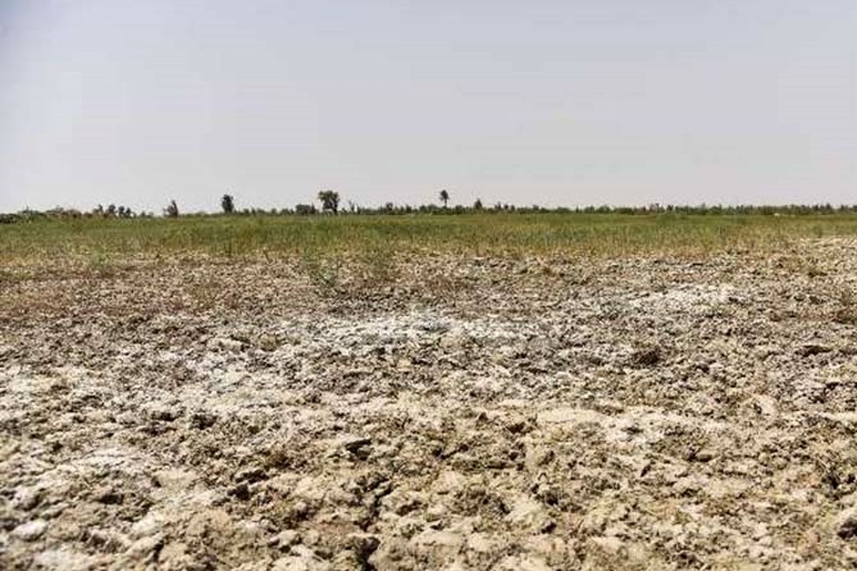 خسارت کشاورزان یونانی از خشکسالی‌ های پیاپی 