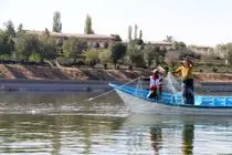 برداشت بیش از ۴۰ تن ماهی گرمابی از دریاچه شورابیل