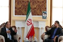 سفیر قطر در تهران با امیرعبداللهیان دیدار کرد