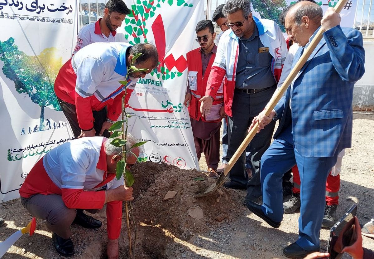 کاشت ۳۷۵۰ اصله درخت در پایگاه های بین راهی جمعیت هلال احمر سیستان‌وبلوچستان
