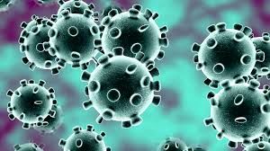 افزایش 25 نفری شمار مبتلایان به ویروس کرونا در 24 ساعت گذشته/آخرین آمار 931 مورد مثبت