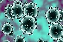 افزایش 25 نفری شمار مبتلایان به ویروس کرونا در 24 ساعت گذشته/آخرین آمار 931 مورد مثبت